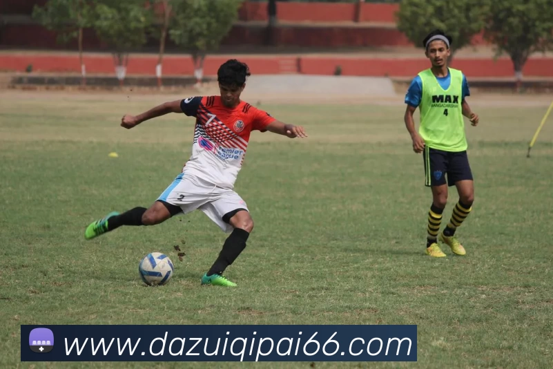 大嘴棋牌全站App